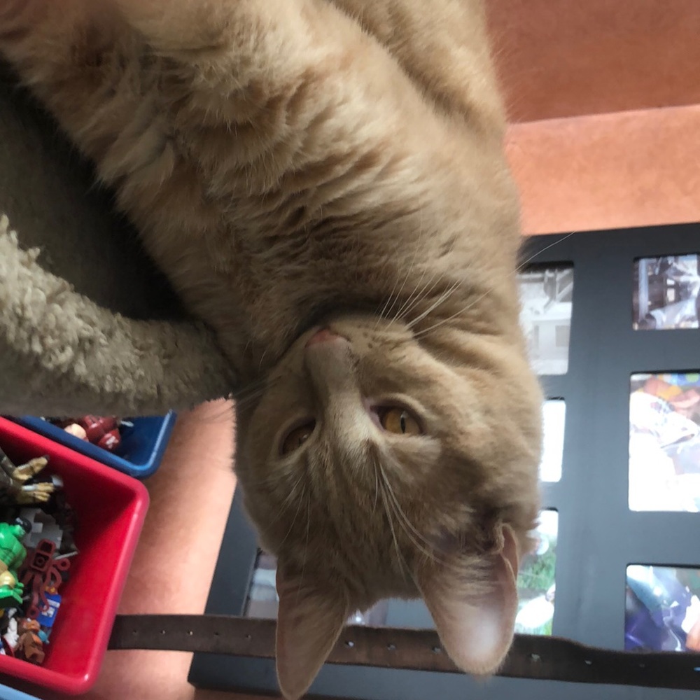 Meet your Posher, Jesse